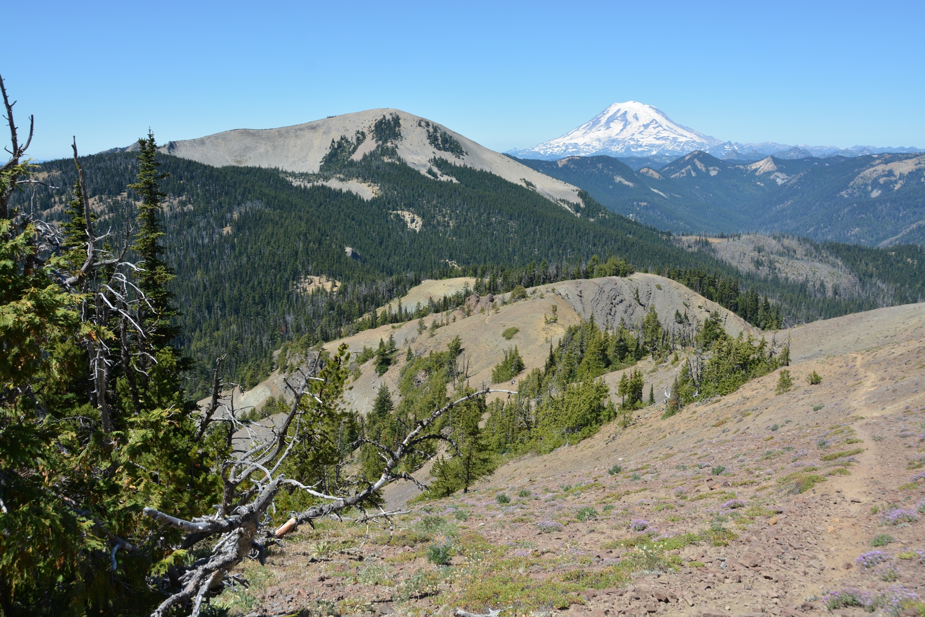 Shellrock Peak — Washington Trails Association